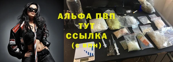 стаф Беломорск