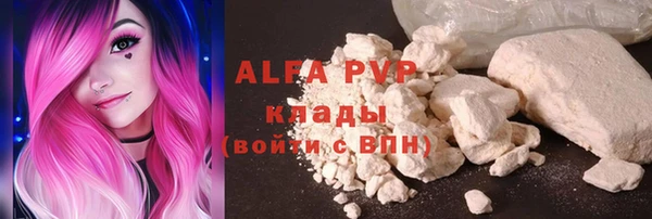 ешки Белокуриха