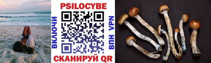 Псилоцибиновые грибы Psilocybe  МЕГА зеркало  Плёс 
